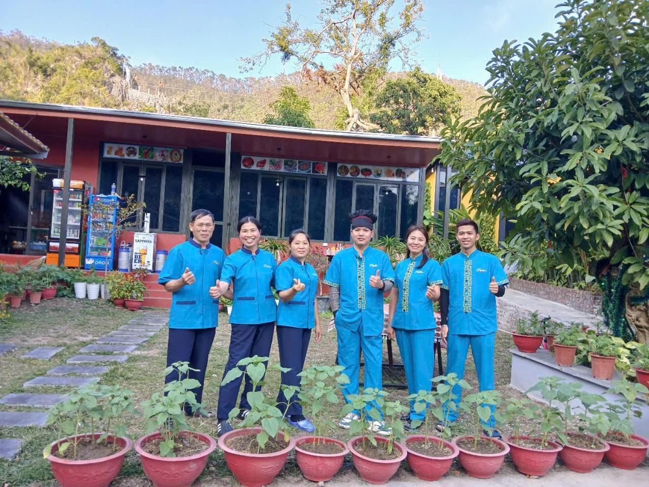 Hien Hao Catba Papillon Garden Bungalows & Resort מראה חיצוני תמונה