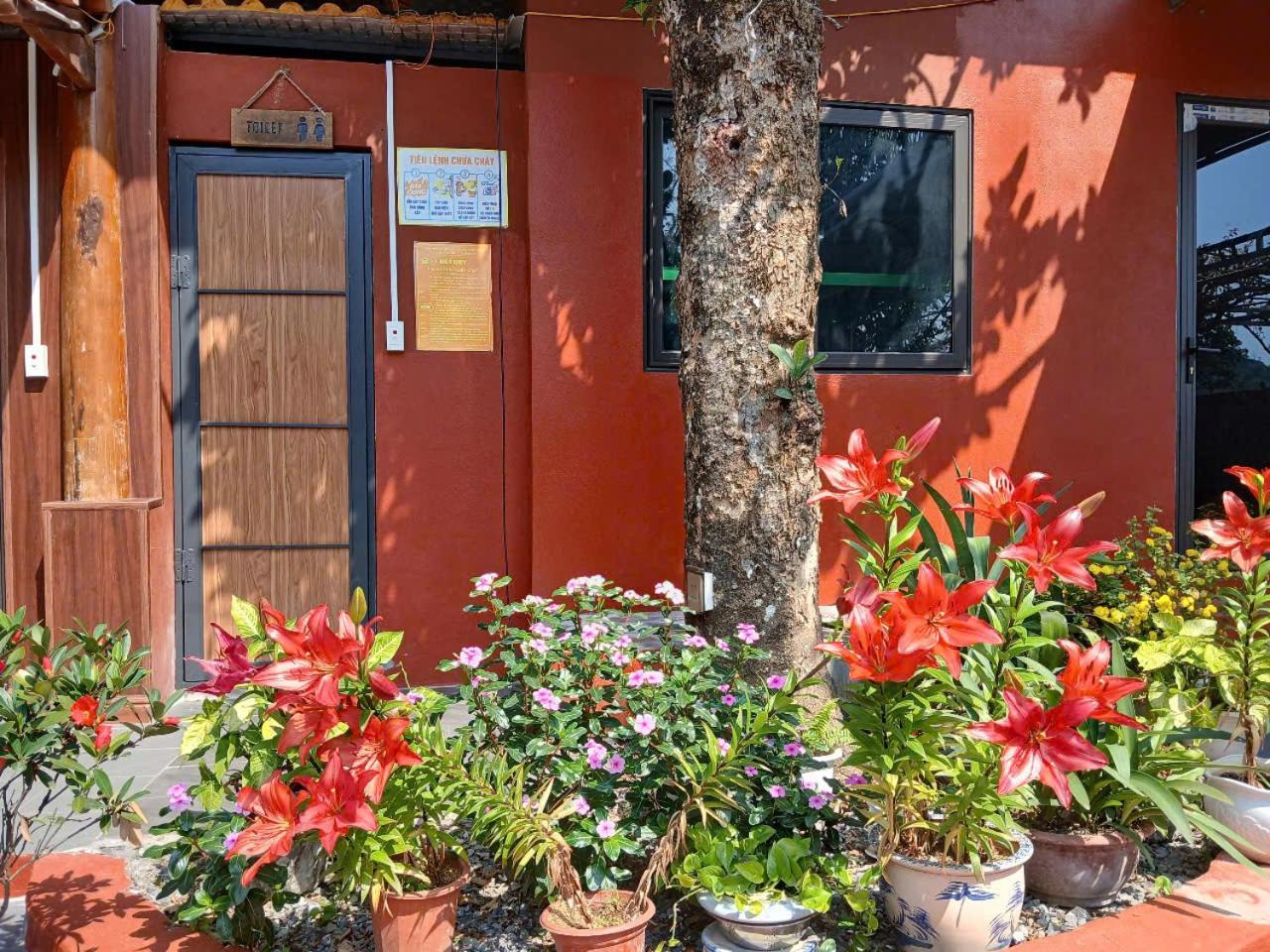 Hien Hao Catba Papillon Garden Bungalows & Resort מראה חיצוני תמונה