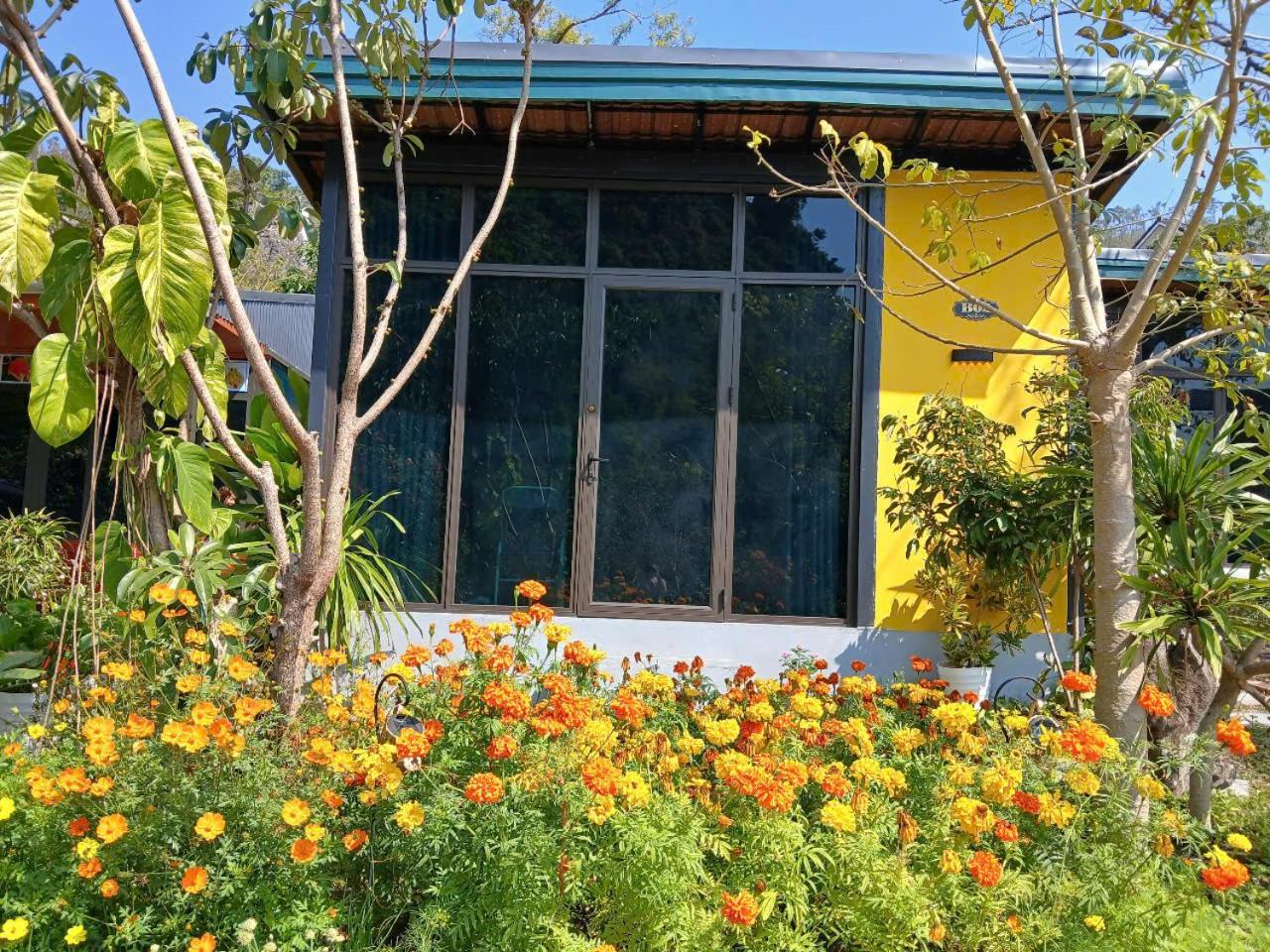 Hien Hao Catba Papillon Garden Bungalows & Resort מראה חיצוני תמונה