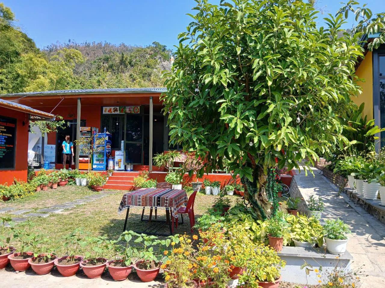 Hien Hao Catba Papillon Garden Bungalows & Resort מראה חיצוני תמונה