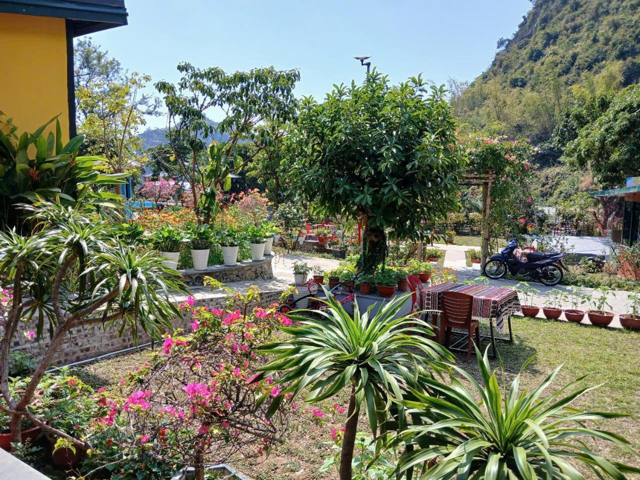 Hien Hao Catba Papillon Garden Bungalows & Resort מראה חיצוני תמונה