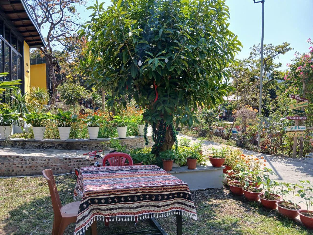 Hien Hao Catba Papillon Garden Bungalows & Resort מראה חיצוני תמונה