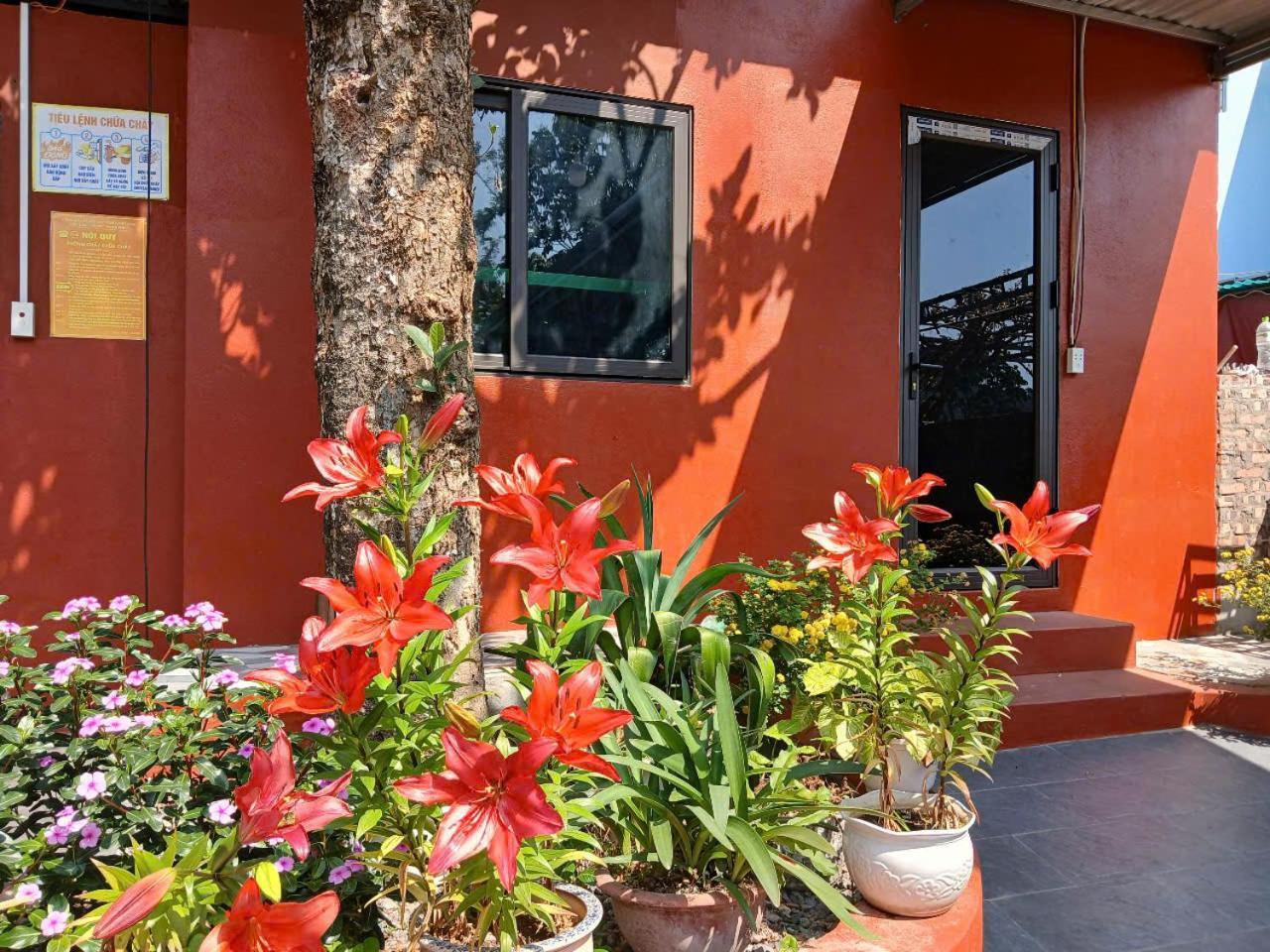 Hien Hao Catba Papillon Garden Bungalows & Resort מראה חיצוני תמונה