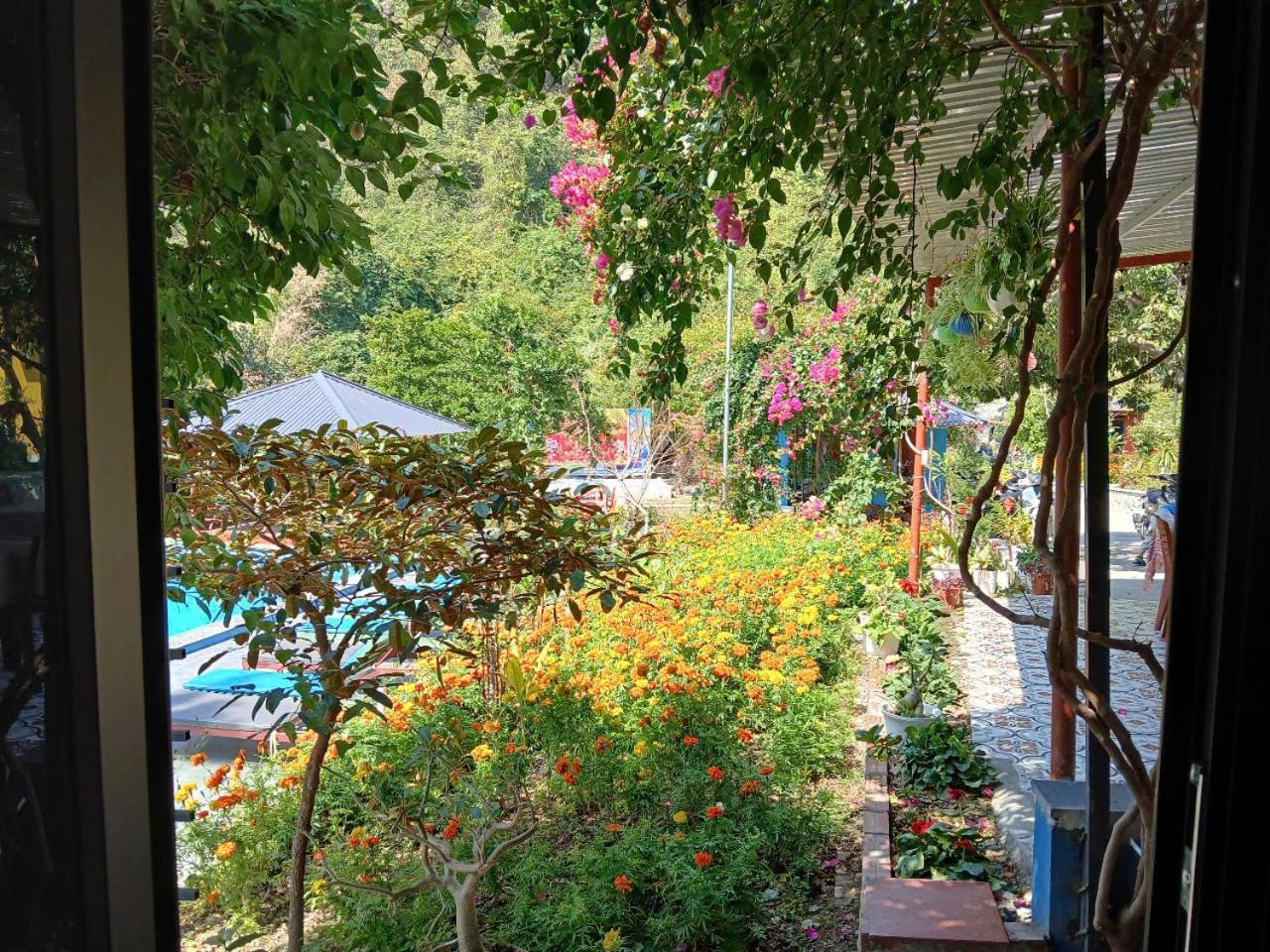 Hien Hao Catba Papillon Garden Bungalows & Resort מראה חיצוני תמונה