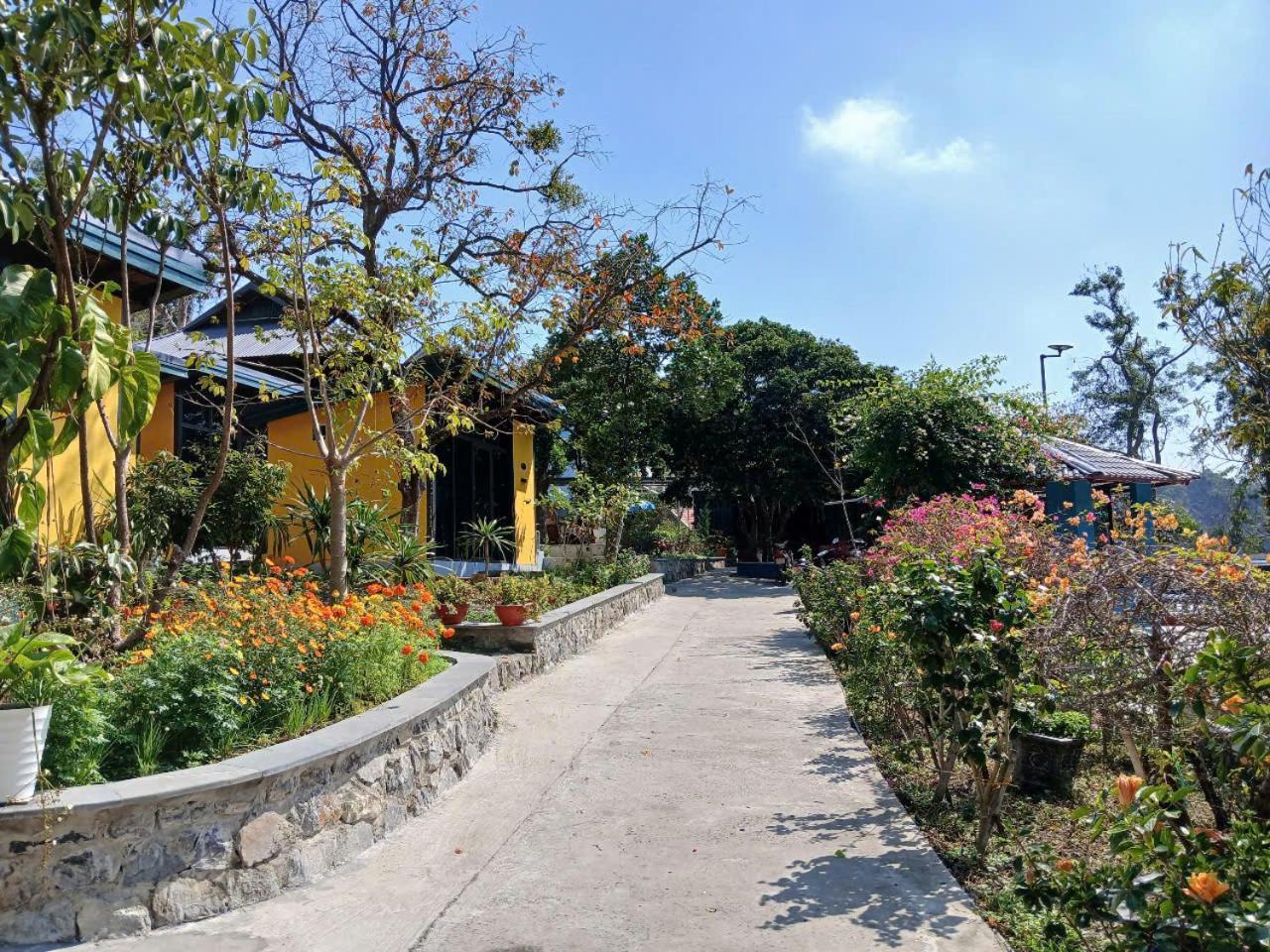 Hien Hao Catba Papillon Garden Bungalows & Resort מראה חיצוני תמונה