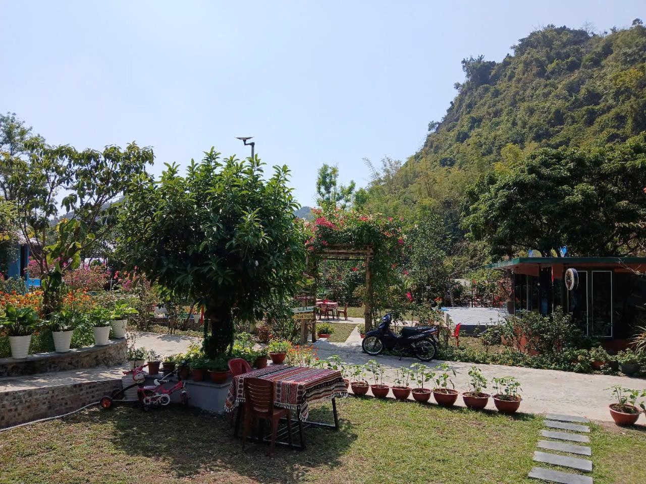 Hien Hao Catba Papillon Garden Bungalows & Resort מראה חיצוני תמונה